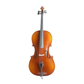 Фото Виолончель KARL HEINLICH THC-30L 1/2