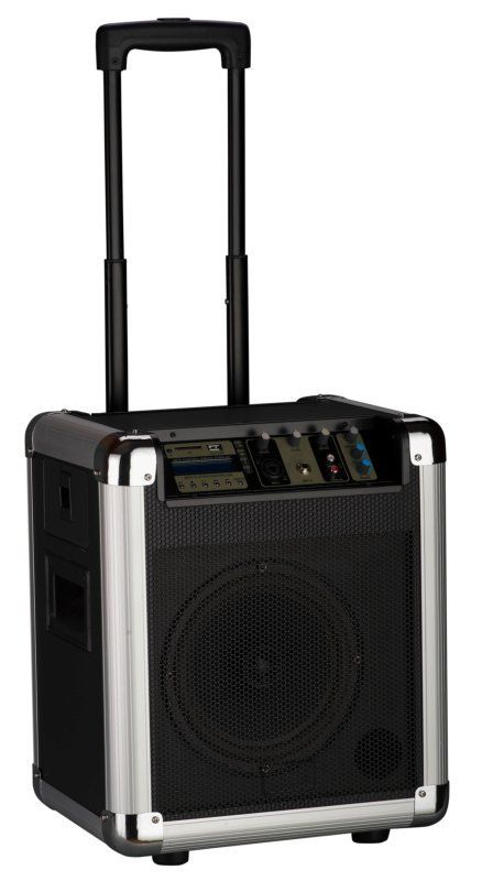 Фото Активная акустическая система Soundking PA8M