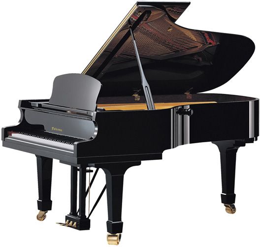 Фото Falcone GF-208D EBP