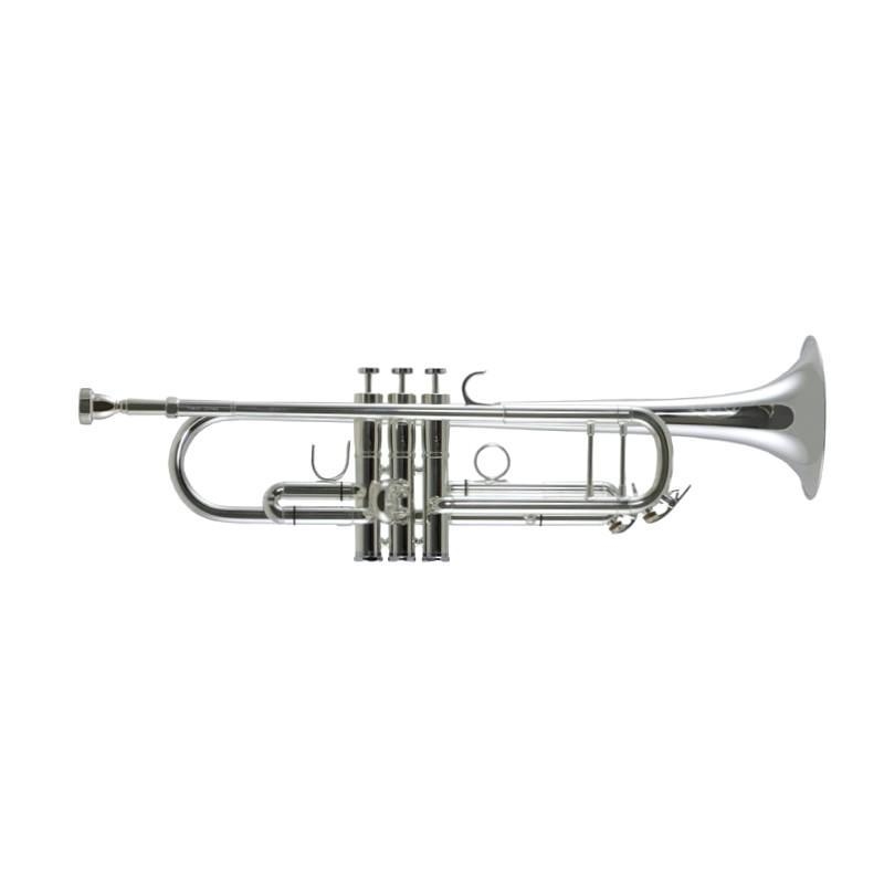 Фото Trevor James Renaissance TJTR8500SP Bb
