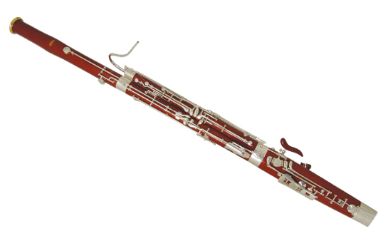 Фото Фагот WISEMANN DBN-500