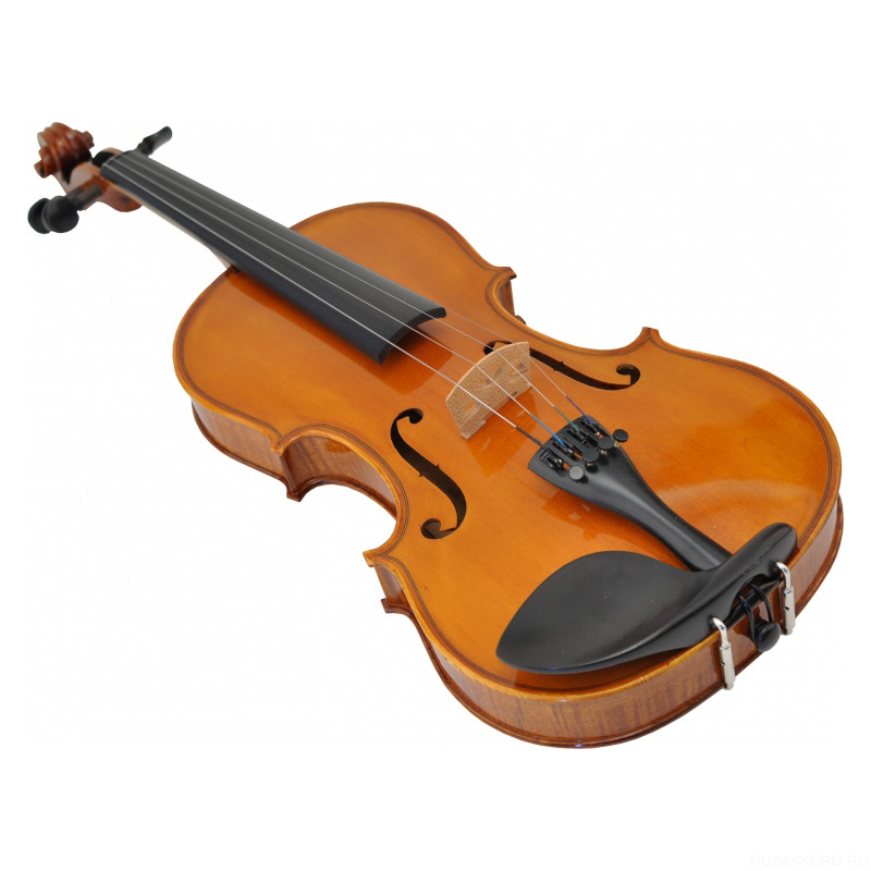 Фото Karl Hofner AS-160 4/4
