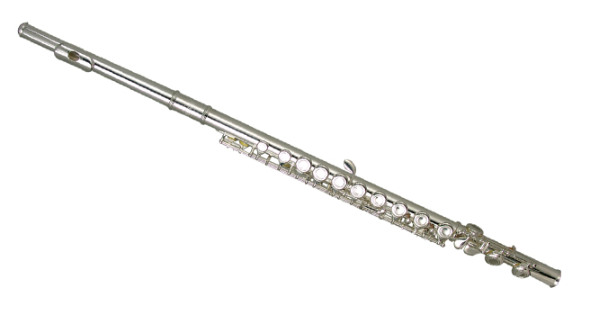 Фото Флейта WISEMANN DFL-300