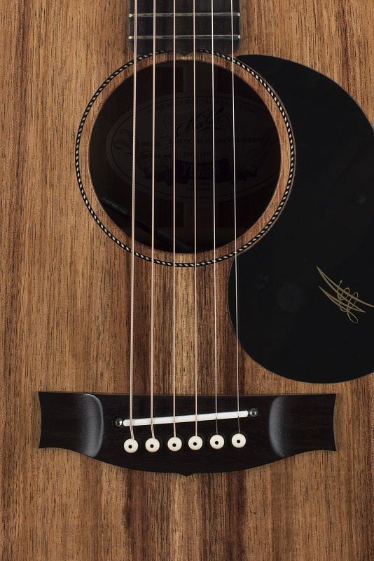 Фото Гитара Maton EBW70C