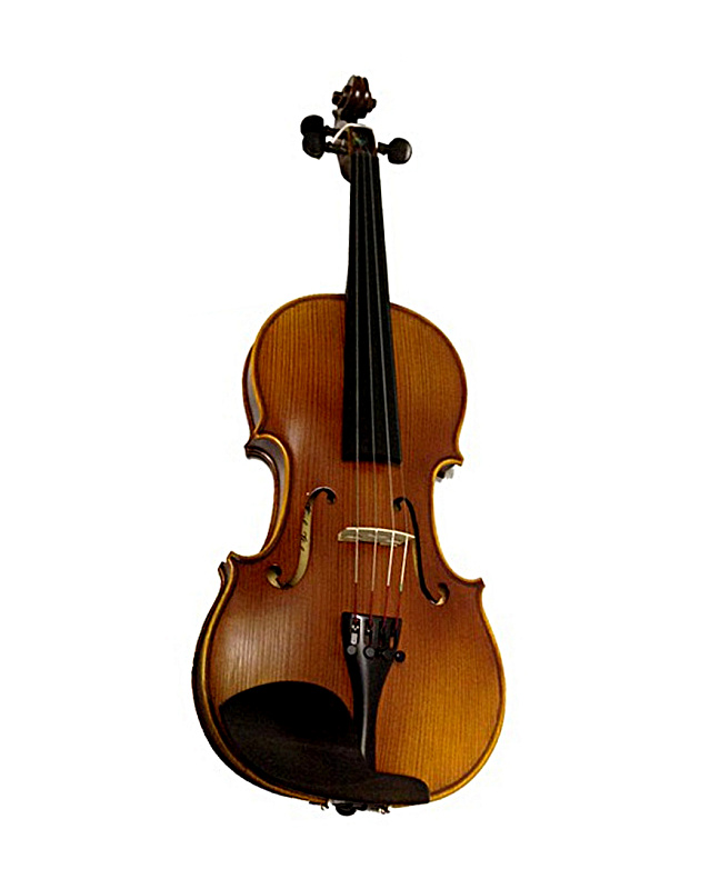 Фото Скрипка Karl Hofner H5D-V 4/4