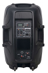 Активная акустическая система AURA A215MP3-Battery