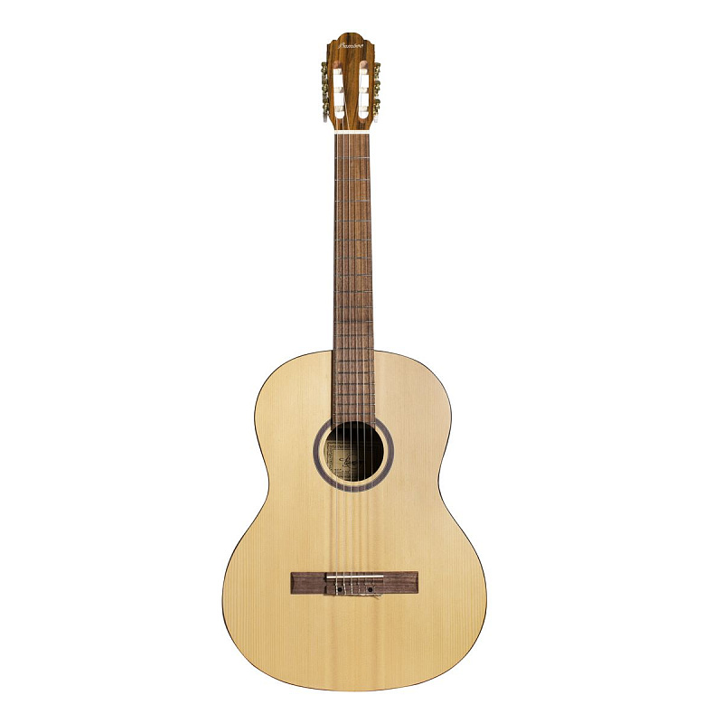 Фото Гитара классическая Bamboo GCI-39 Pro