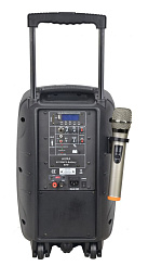 Активная акустическая система AURA A210MP3Battery