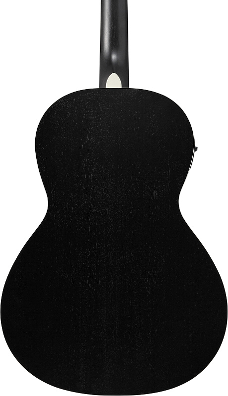 Фото Акустическая гитара IBANEZ PN14MHE-WK