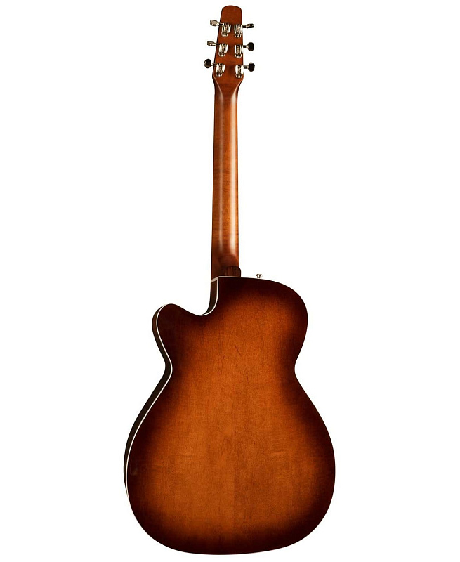 Фото Seagull 041824 Performer CW CH Burnt Umber QIT