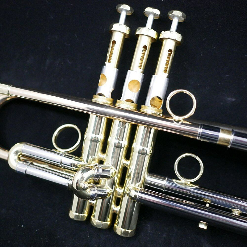 Фото Schagerl Academica Signature James Morrison Large Bore JM1X-L Bb
