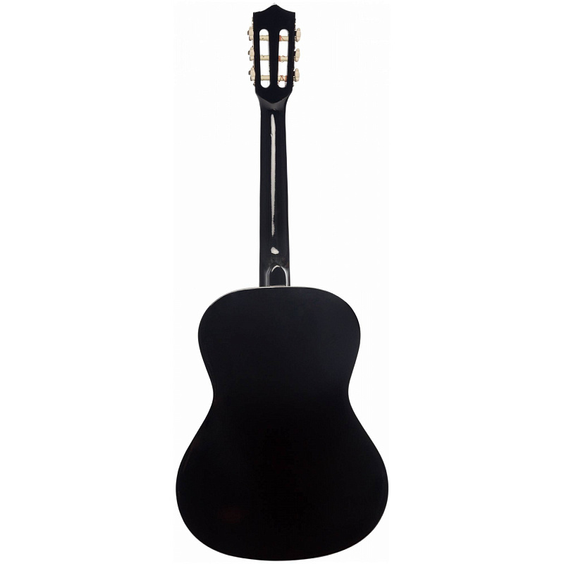 Классические классическая гитара terris tc-3801a bk в магазине Music-Hummer