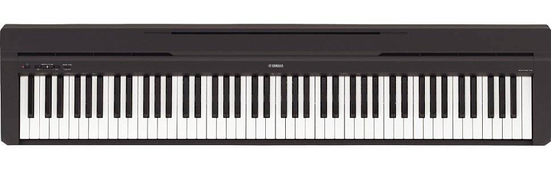 Фото Yamaha P-45B