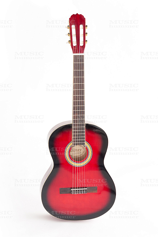 Фото Классическая гитара Euphony EC100