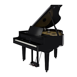 Цифровой рояль премиум класса Roland GP 9 PE