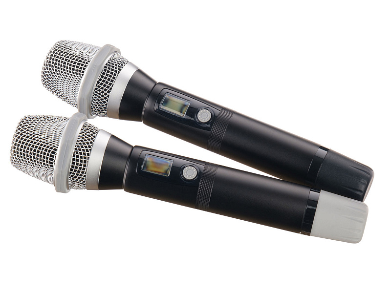 Фото Микрофонная система LAudio LS-Q10-2M