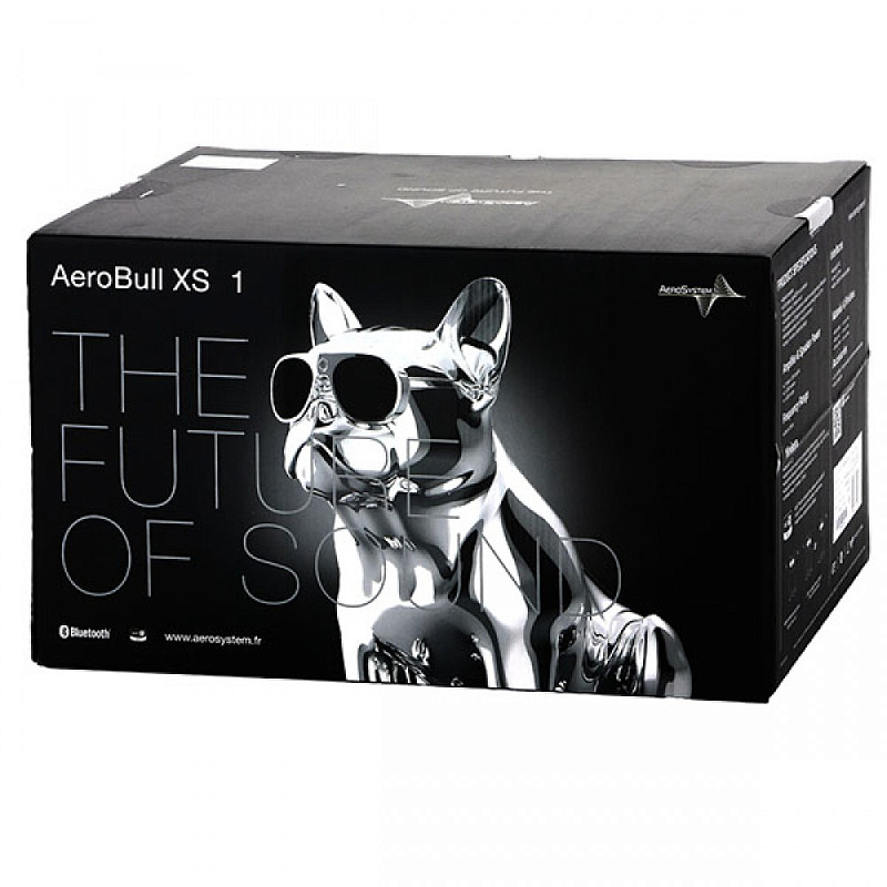 Фото Портативная акустическая система AEROSYSTEM Aerobull HD1 Glossy white