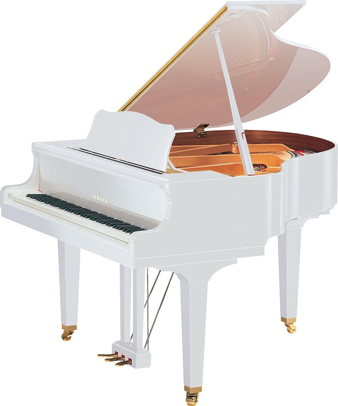 Фото Yamaha GB1K PWH рояль 151 см, белый полированный