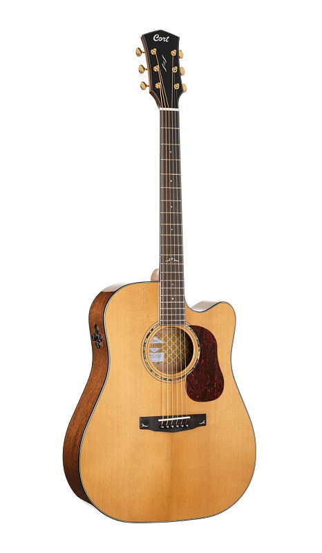 Фото Акустическая гитара Cort Gold-DC6-WCASE-NAT Gold Series