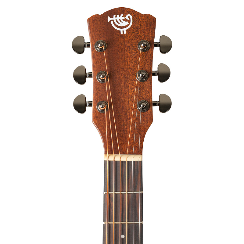 Фото Акустическая гитара. ROCKDALE Aurora D6 Satin All-Mahogany