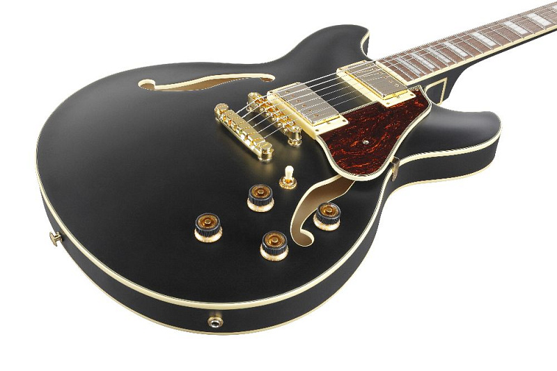 Фото Электрогитара IBANEZ AS73G-BKF