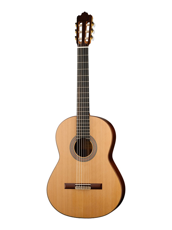 Фото Классическая гитара 4/4 Prodipe JMFSOLOIST700 Soloist 700