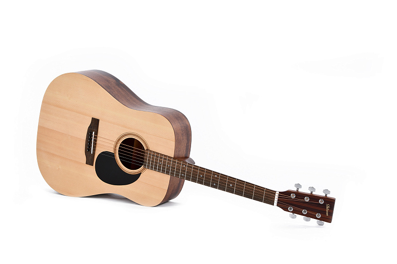 Фото Гитара Ditson D-10