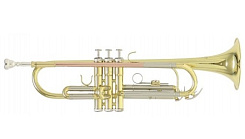 ROY BENSON TR-202 Bb